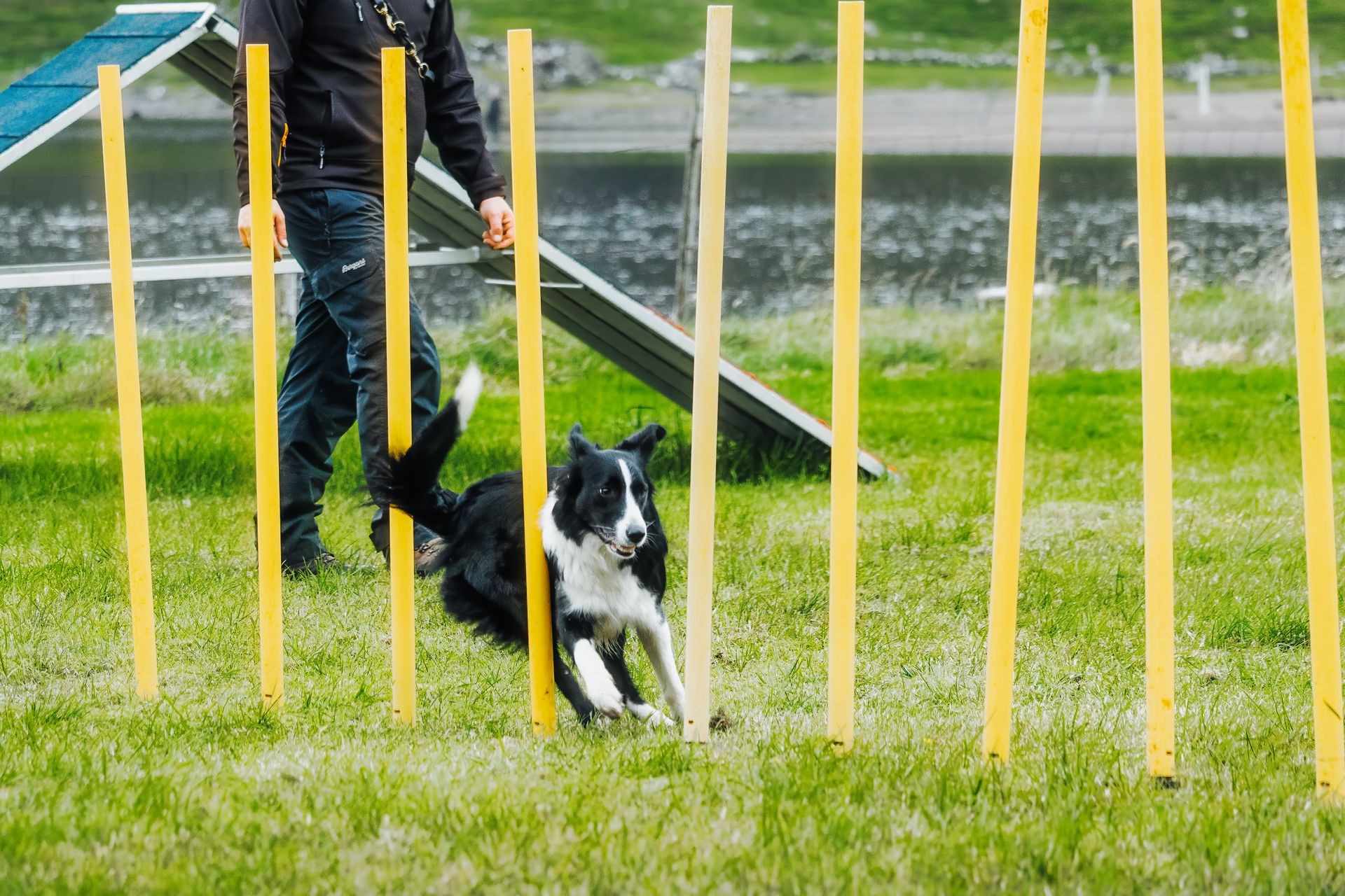 Agility