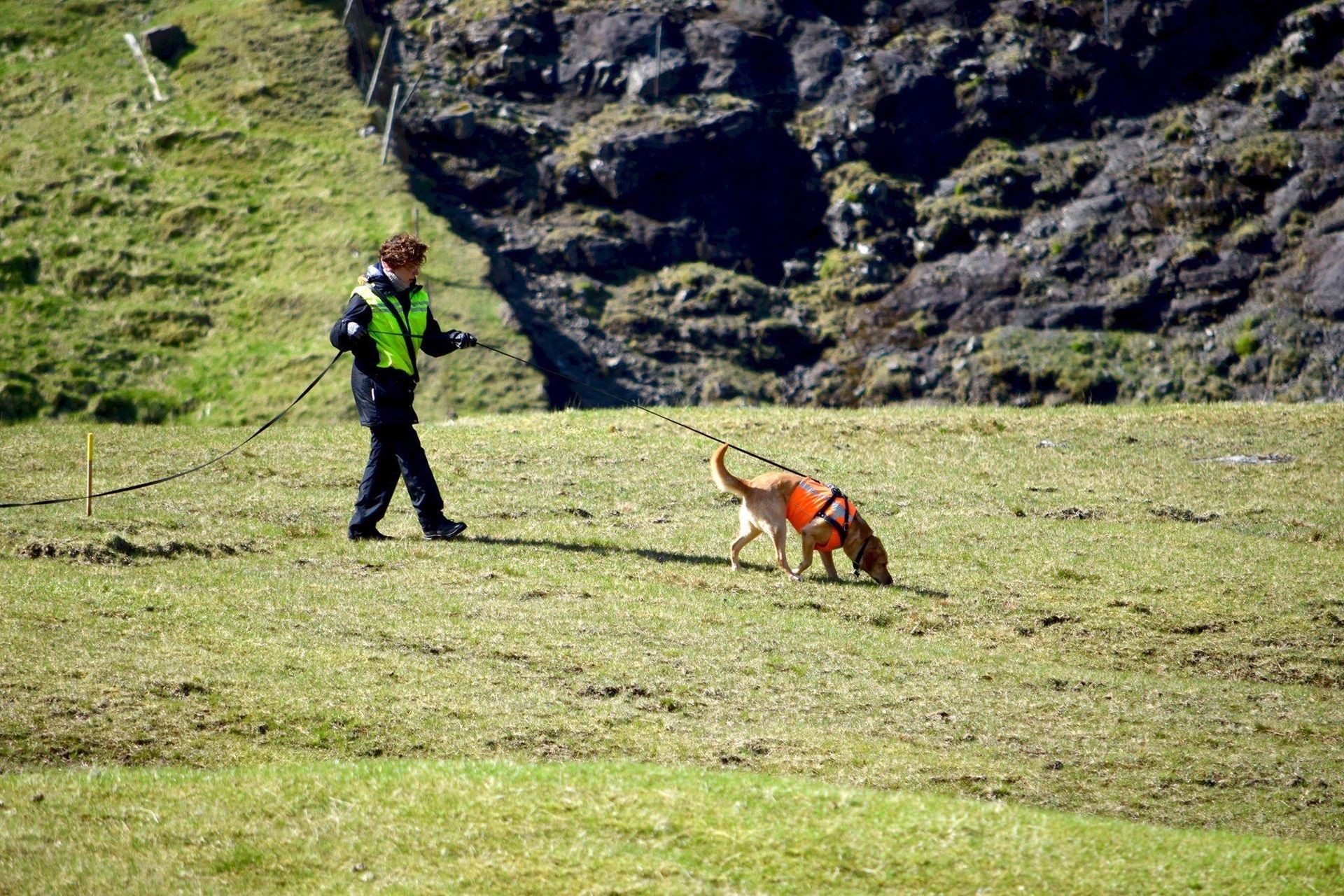 Róin á slóðini